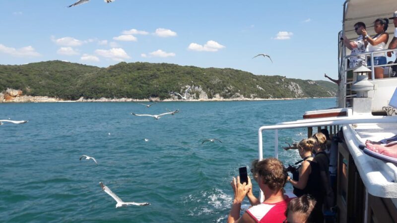 Pore: Boat tour to Rovinj with lunch and drinks - Key Points