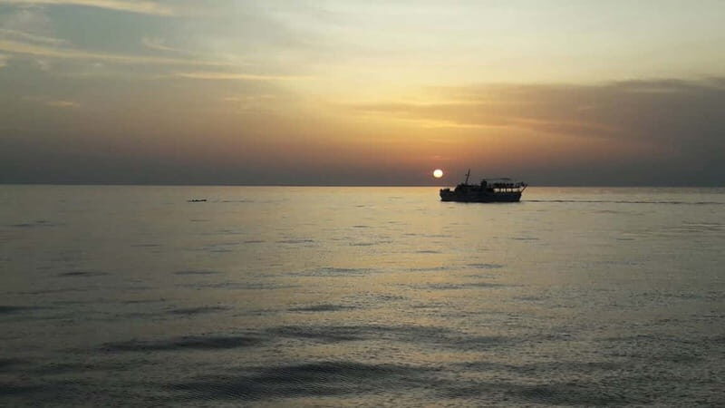 Pore: Sunset Dolphin Safari Cruise with Drinks - Key Points