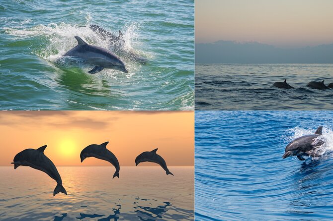 Poreč Private Watersports Excursion: An Adventure on the Waves - Since You Asked