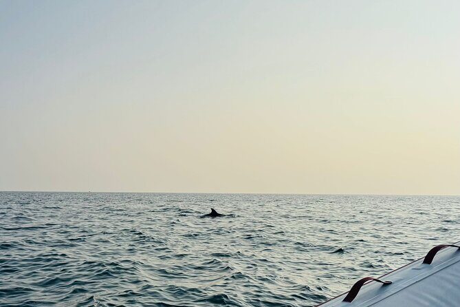 Porec Sunset Shared Cruise on Speedboat with Dolphin Sightseeing - FAQ