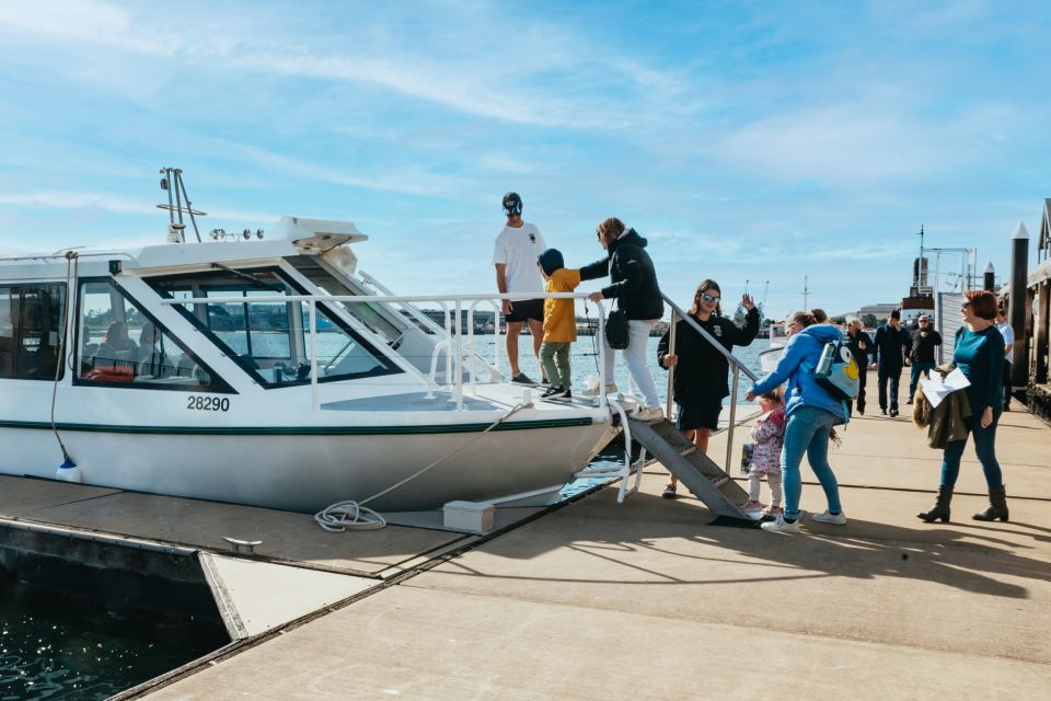 Port Adelaide: Dolphin and Ships Graveyard Cruise - Key Points