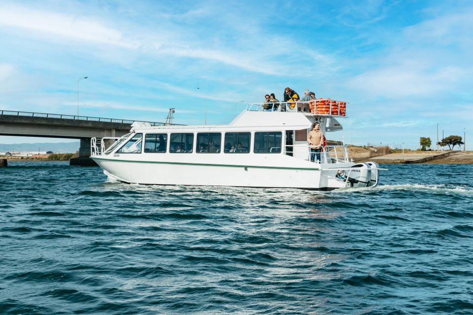 Port Adelaide: Dolphin and Ships Graveyard Cruise - Inclusions
