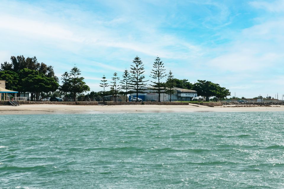 Port Adelaide: Dolphin and Ships Graveyard Cruise - Recap