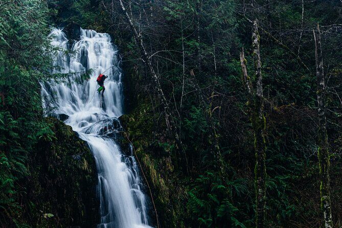 Port Alice Canyoning Activity - Final Thoughts