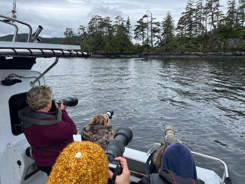 Port Alice: Sea Otter and Wildlife Tour - 6 hour with lunch - The Guide and Weather Considerations