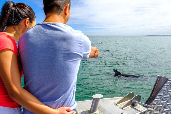 Port and Dolphin Cruise Bunbury Tour - What to Expect on the Tour