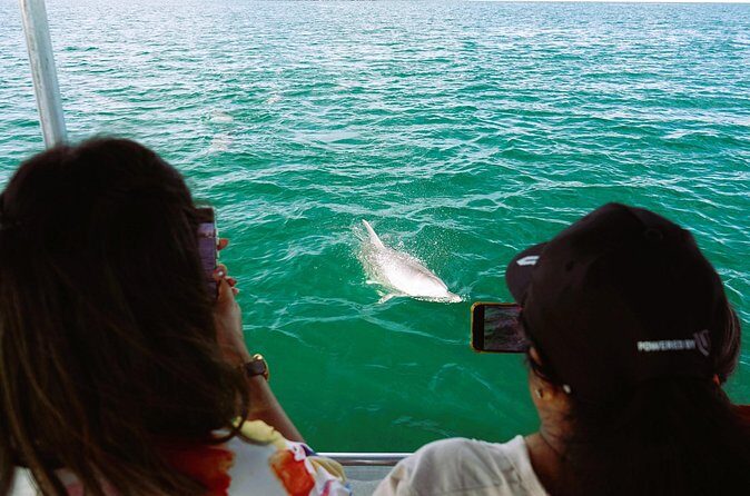 Port and Dolphin Cruise Bunbury Tour - FAQ