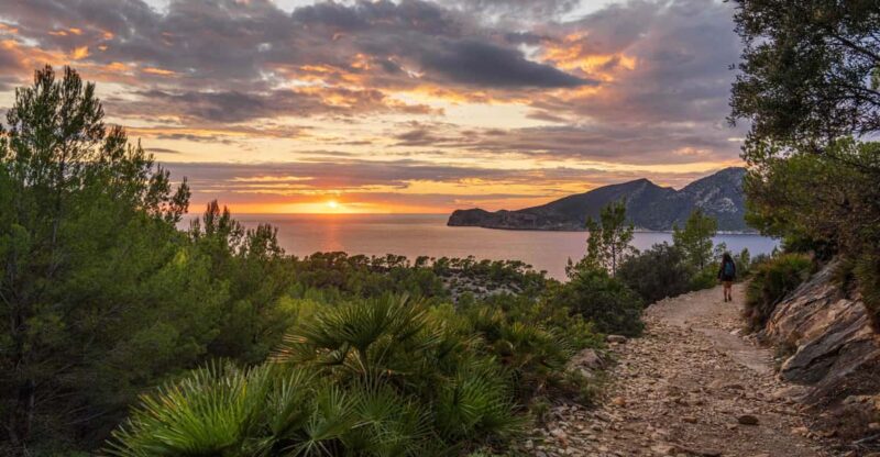 Port Andratx: Hiking Tour Into the Sunset to Sant Elm - Cala Egos and the SArraco Valley