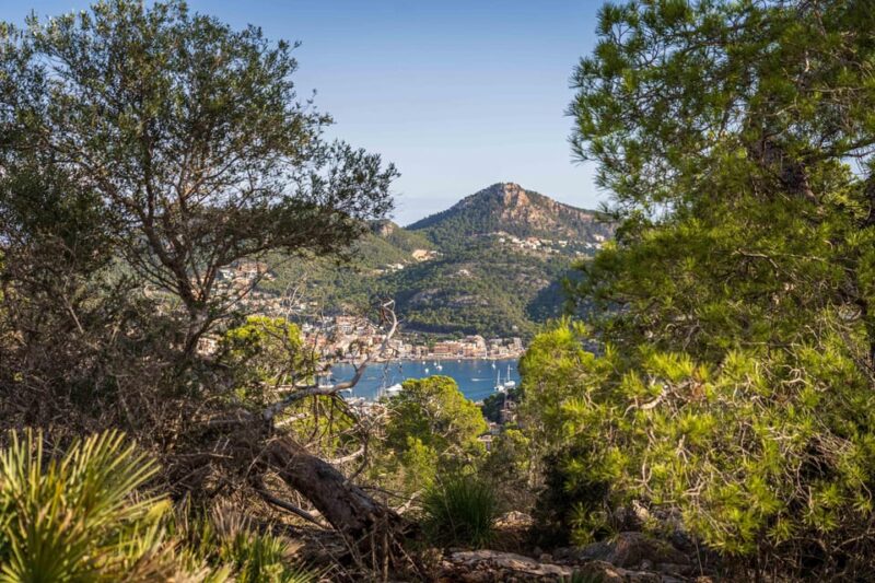 Port Andratx: Hiking Tour Into the Sunset to Sant Elm - A Taste of Majorcan Culture
