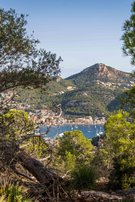 Port Andratx: Hiking Tour Into the Sunset to Sant Elm - Learning About the Local Flora and Fauna