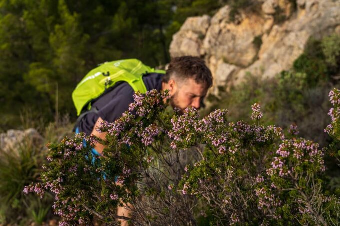 Port Andratx: Hiking Tour Into the Sunset to Sant Elm - Logistics and Booking Details