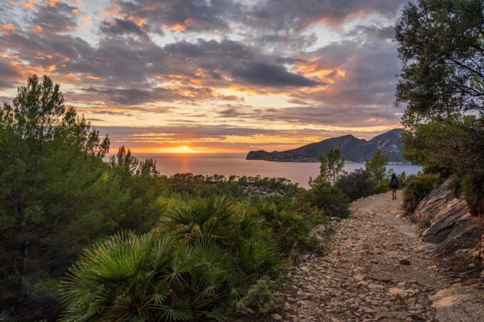 Port Andratx: Hiking Tour Into the Sunset to Sant Elm - Customer Reviews and Recommendations