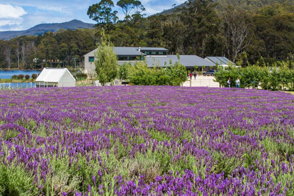 Port Arthur Shuttle and Tasman Sights Tour - Important Information