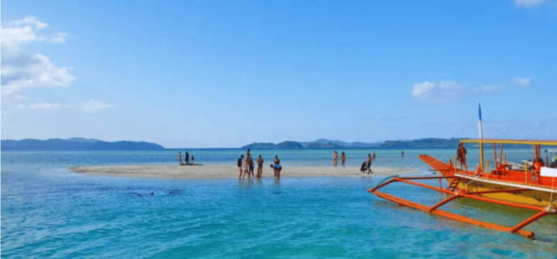 Port Barton: Island Hopping to Turtle Spot & Reef with Lunch - An In-Depth Look at the Tour Experience