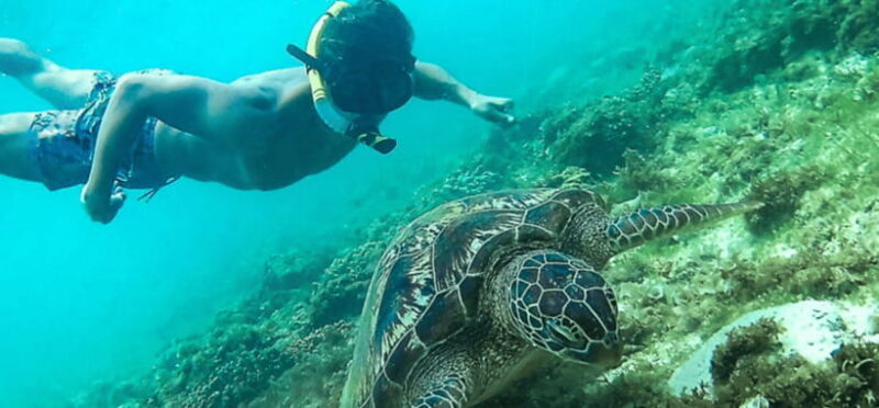 Port Barton: Island Hopping to Turtle Spot & Reef with Lunch - Authenticity and Real Feedback