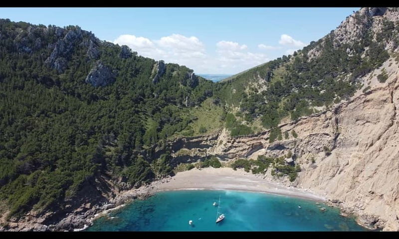 Port d'Alcúdia, Mallorca: Half Day Sailing Trip - What Makes This Trip Special?