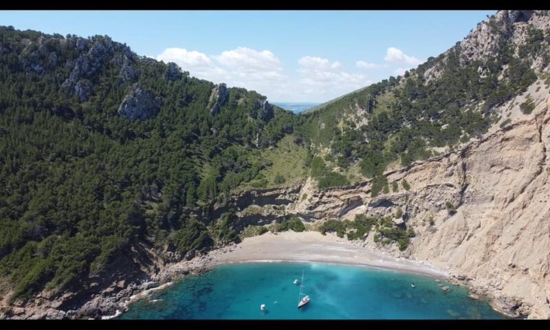 Port Dalcúdia, Mallorca: Shared Half Day Sailing Trip. - Included Features
