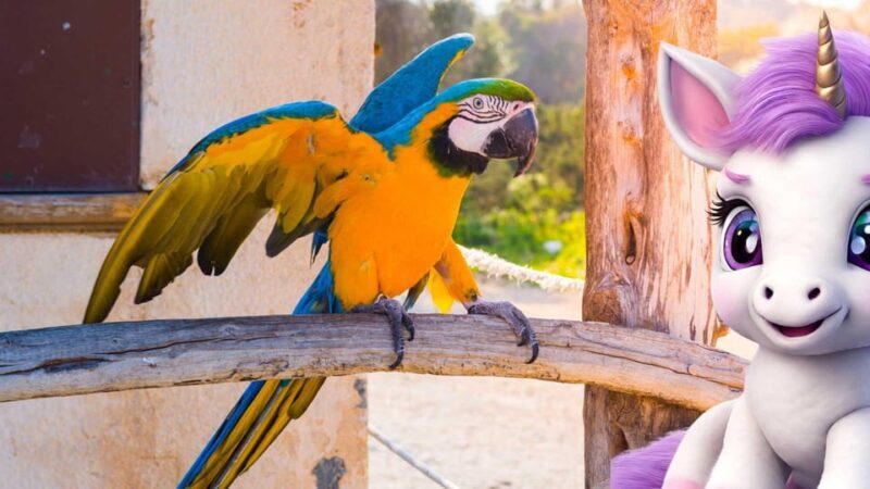 Port d'Alcudia: Meet the Magical Creatures,family game &walk - Final Thoughts