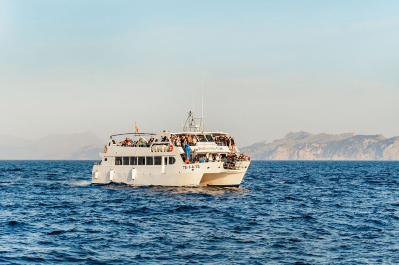 Port Dalcudia: Sunrise at Sea & Dolphin Watching Boat Tour - Key Points