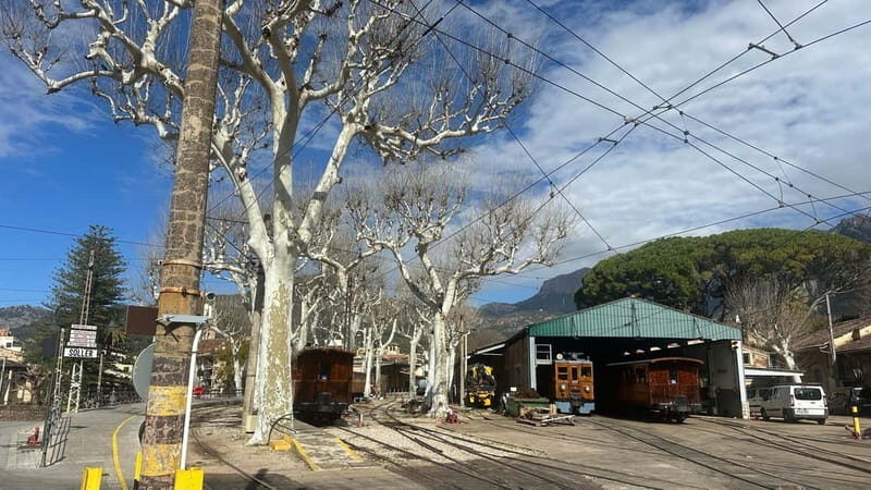 Port de Sóller, Sóller, and Sa Foradada Sunset Tour - What Makes This Tour Stand Out