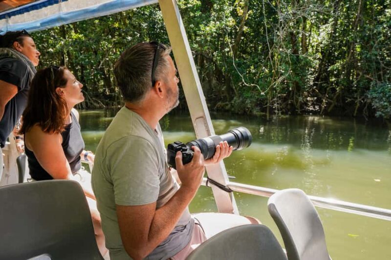 Port Douglas: Afternoon Daintree Tour w/ Wildlife Cruise - Who Will Enjoy This Tour?