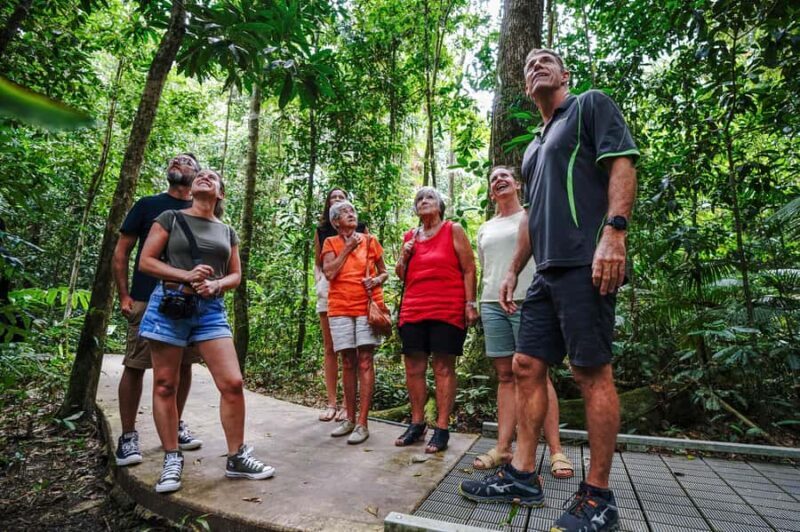Port Douglas: Best of Daintree Rainforest Day Tour - An In-Depth Look at the Daintree Rainforest Tour