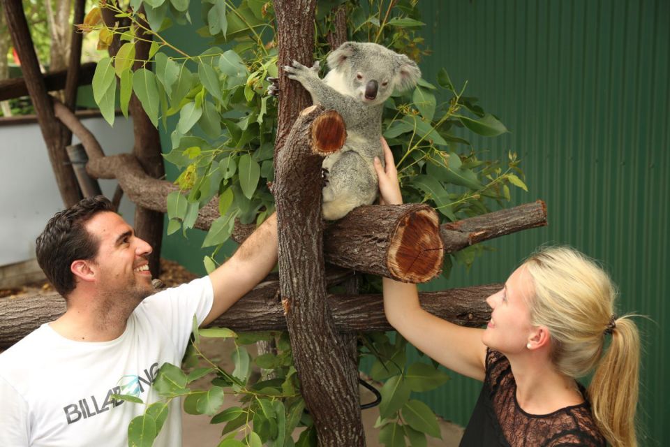 Port Douglas: Breakfast With the Birds - Interact and Feed Wildlife