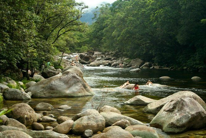 Port Douglas Daintree National Park Boutique Full-Day Tour - Exploring the Itinerary: What’s on Offer