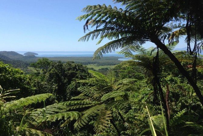 Port Douglas Daintree National Park Boutique Full-Day Tour - The Sum Up: Is It Worth It?