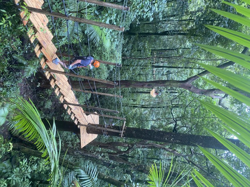 Port Douglas: Daintree National Park Ziplining & Cruise - Language and Inclusions