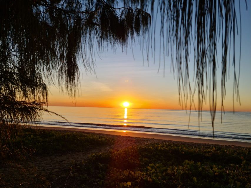Port Douglas: Daintree Rainforest and Mossman Gorge Tour - Booking Details