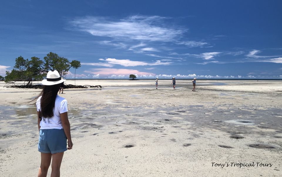 Port Douglas: Daintree Rainforest and Mossman Gorge Tour - Recap