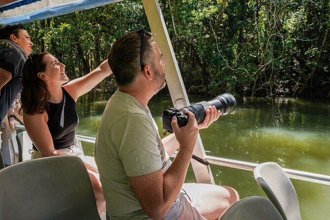 Port Douglas & Daintree Tour for Cruise Ship Passenger - Authenticity and Reviewer Insights