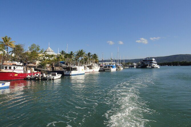 Port Douglas Day Tour from Cairns - Key Points