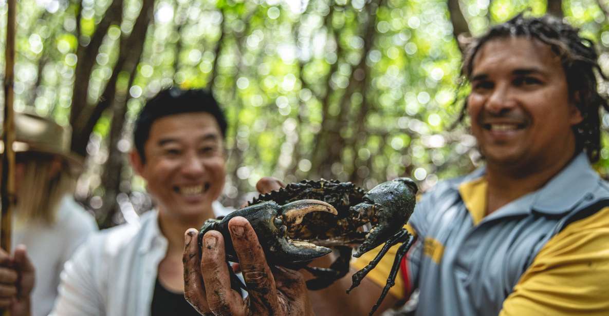 Port Douglas: Full Day Daintree Cultural Tour With Lunch - Tour Description