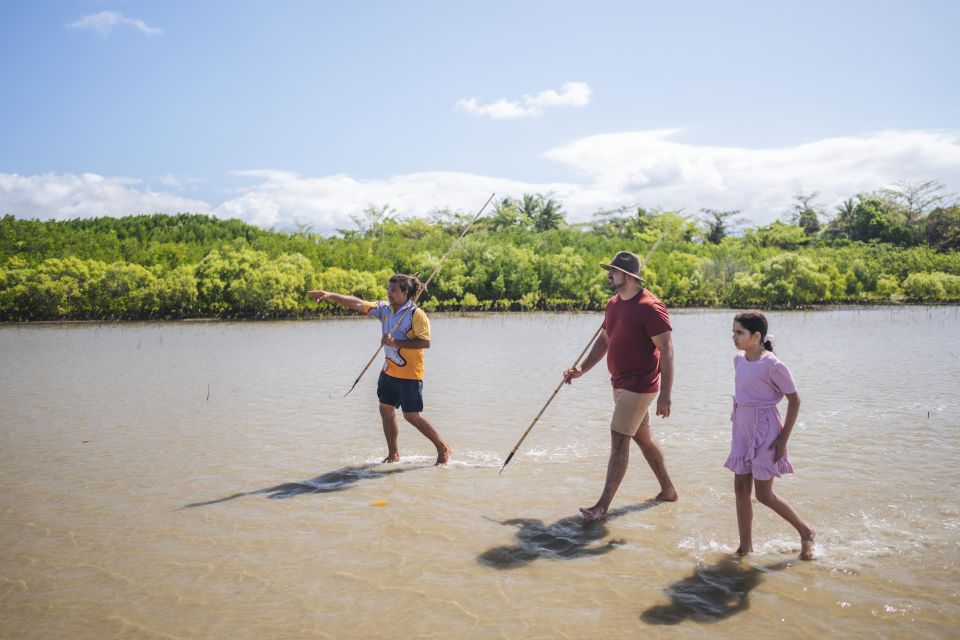 Port Douglas: Full Day Daintree Cultural Tour With Lunch - Inclusions