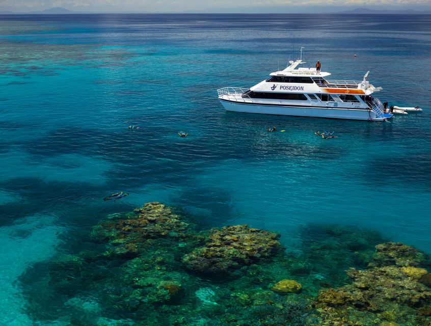Port Douglas: Full-Day Outer Barrier Reef Dive and Snorkel - Key Points