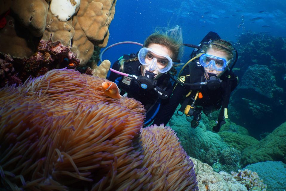 Port Douglas: Full-Day Outer Barrier Reef Dive and Snorkel - Highlights