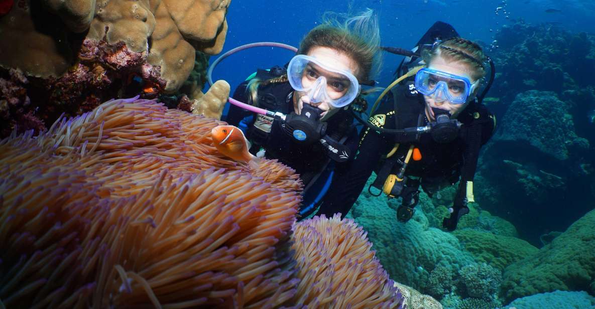 Port Douglas: Full-Day Outer Barrier Reef Dive and Snorkel - Inclusions