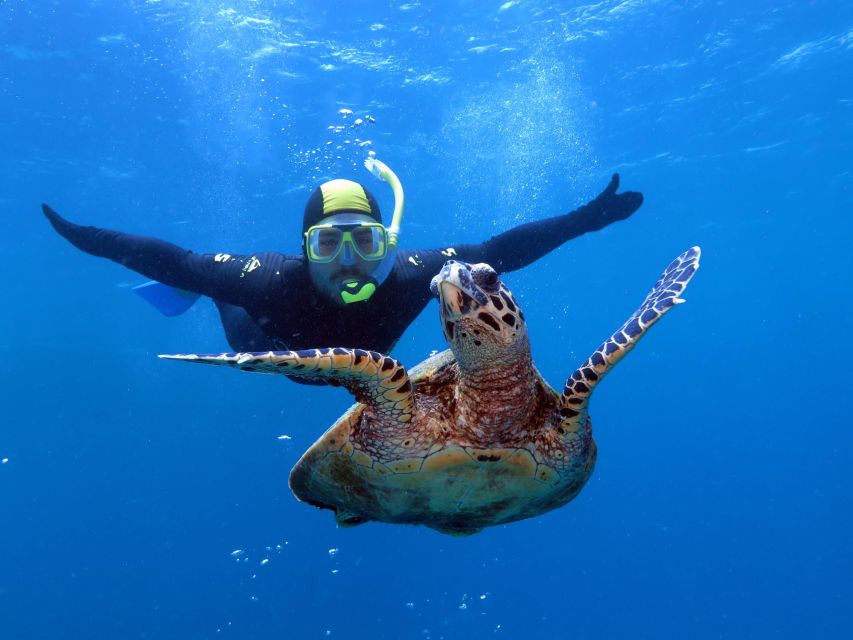 Port Douglas: Full-Day Outer Barrier Reef Dive and Snorkel - Frequently Asked Questions