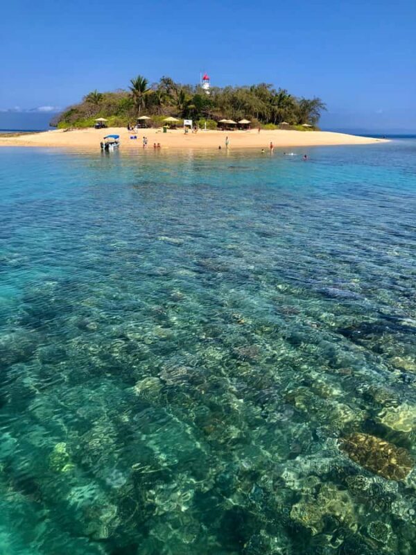 Port Douglas: Half-Day Low Island and Lagoon Snorkeling Tour - An Overview of the Experience