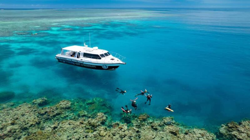 Port Douglas: Just 12 Passengers Guided Snorkel Reef Cruise - The Real Value for the Traveler