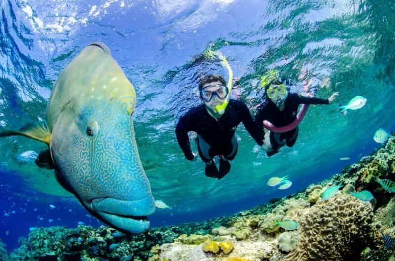 Port Douglas: Just 12 Passengers Guided Snorkel Reef Cruise - Final Thoughts: Is This the Reef Tour for You?