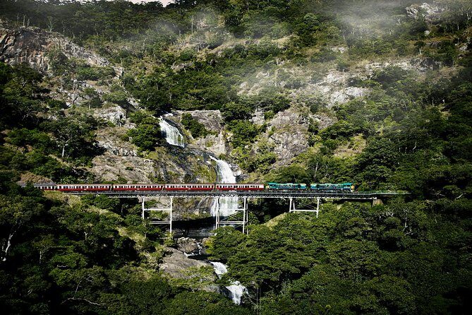 Port Douglas: Kuranda tour with Skyrail or Scenic Train - Who Should Consider This Tour?
