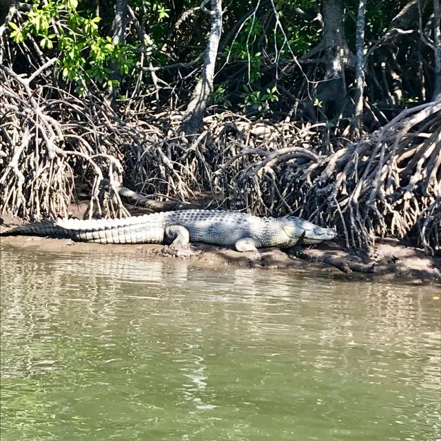 Port Douglas: Lady Douglas Sunset River Cruise With Snacks - Cruise Highlights and Description