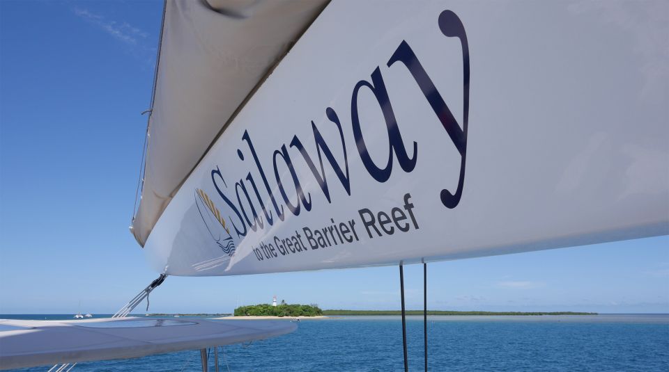 Port Douglas: Low Isles Afternoon Cruise on Luxury Catamaran - Experience Highlights