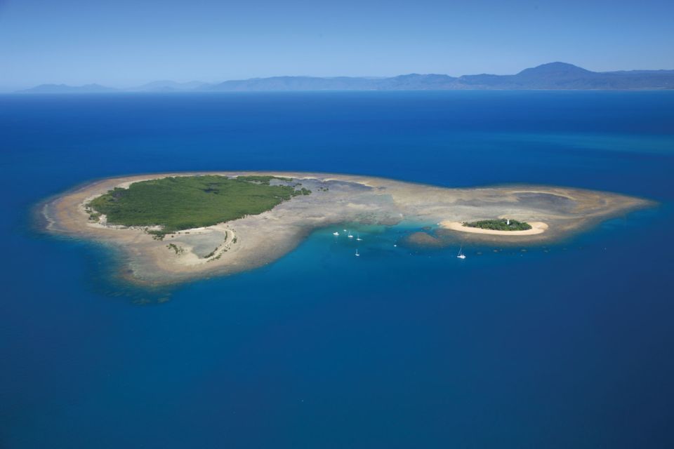 Port Douglas: Low Isles Afternoon Cruise on Luxury Catamaran - Directions