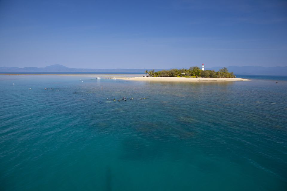 Port Douglas: Low Isles Glass Bottom Boat & Snorkeling Tour - Tour Highlights