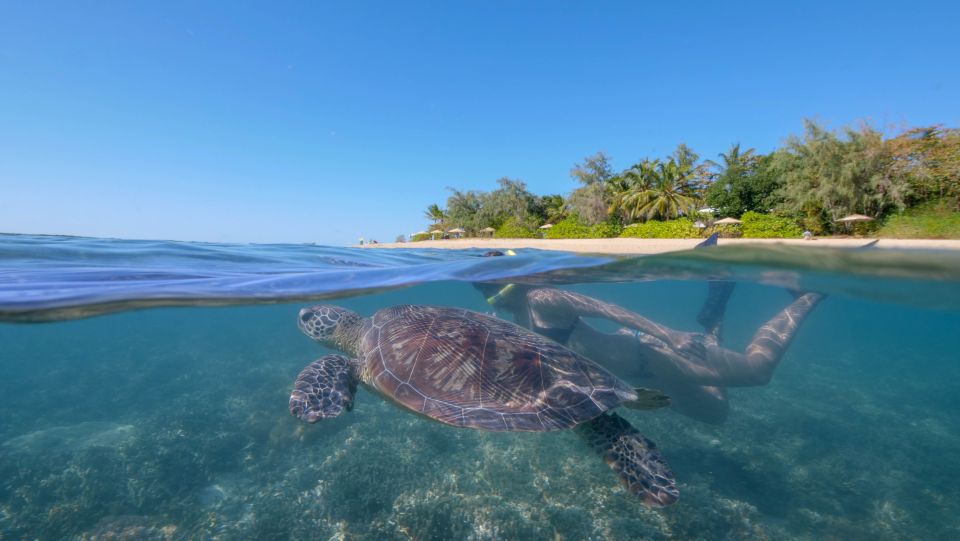 Port Douglas: Low Isles Glass Bottom Boat & Snorkeling Tour - Tour Inclusions