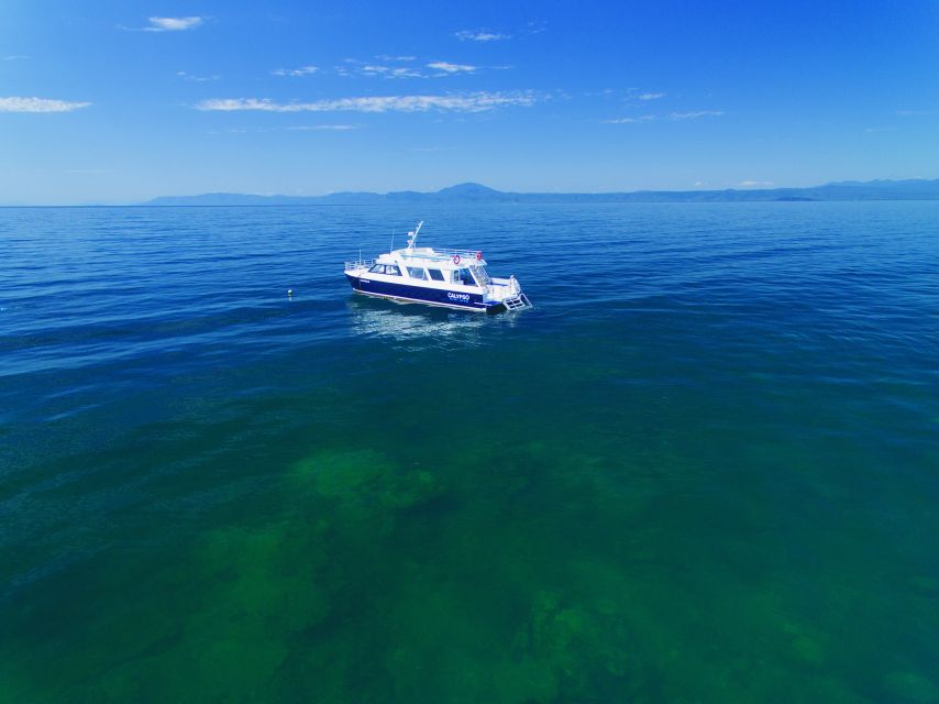Port Douglas: Low Isles Glass Bottom Boat & Snorkeling Tour - Customer Reviews